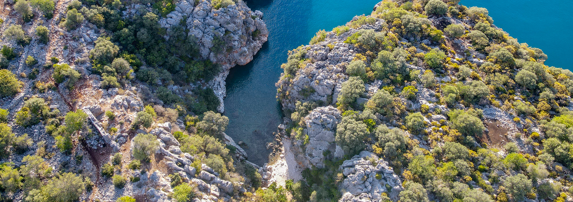 Buzağılık Koyu